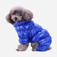 Товары для животных
